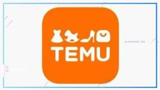 نجاح ساحق لـ Temu في أمريكا
