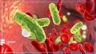 أسباب الإصابة بجرثومة الدم وطرق العلاج 