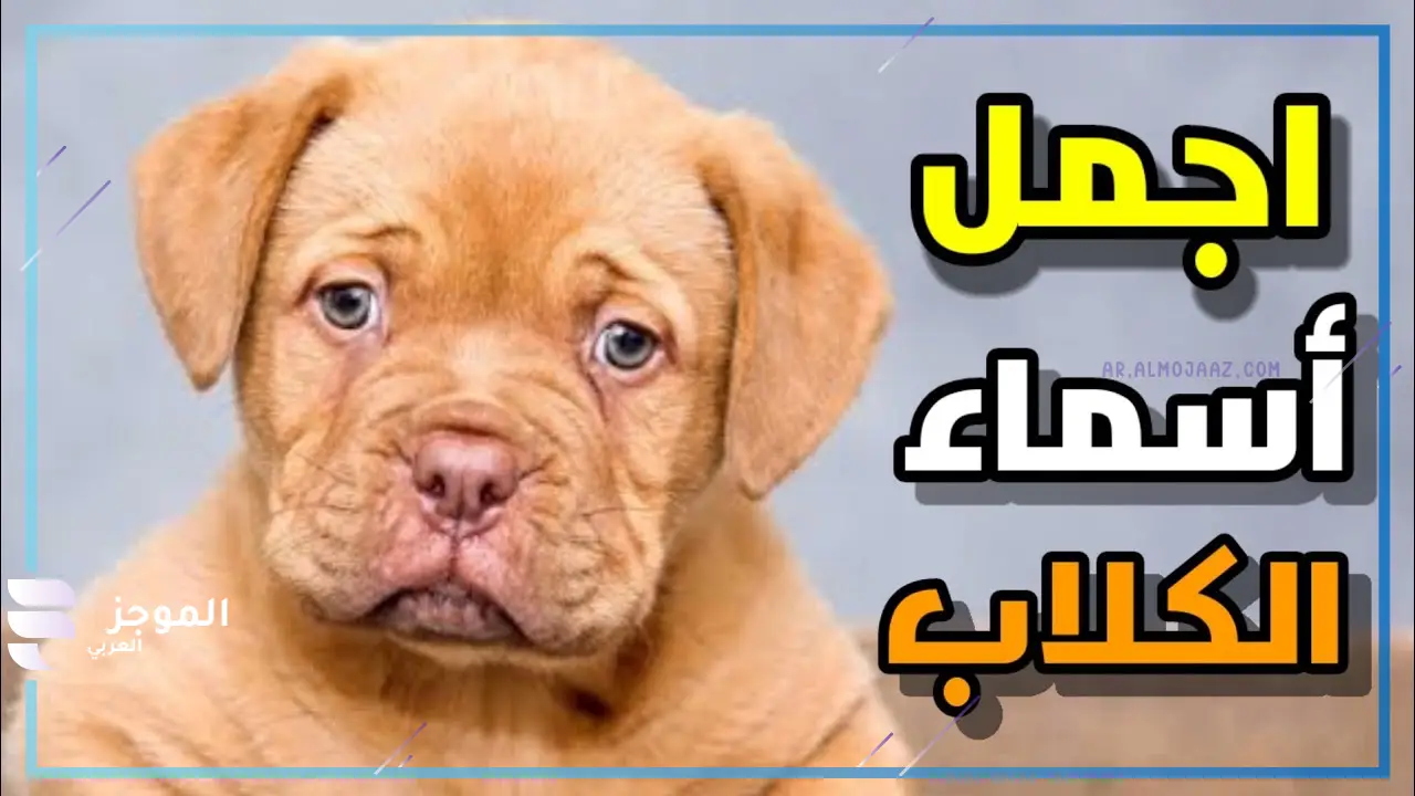 أسماء كلاب شرسة ذكور