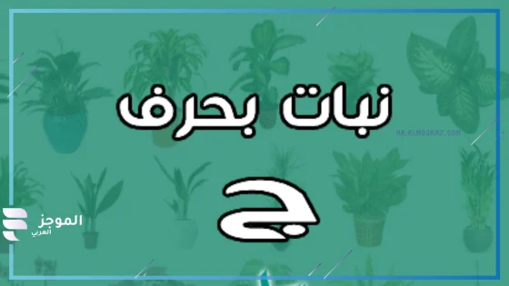 اسم نبات بحرف ج، اسماء نبات تبدأ بحرف ج