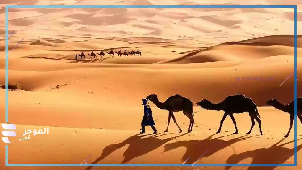 فروع قبيلة الخالدي