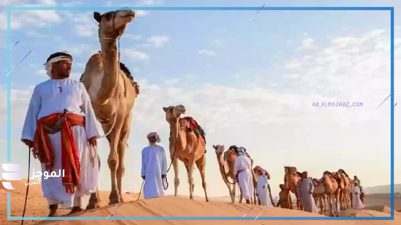 ما هو نسب العواد