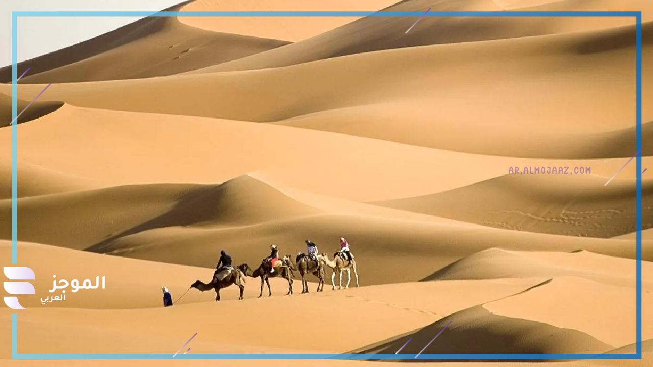 فروع قبيلة القرشي 
