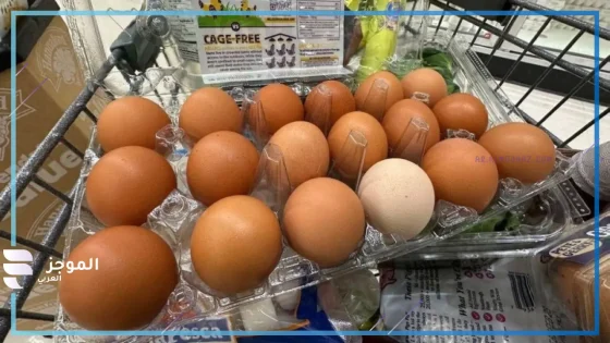استيراد أمريكا للبيض