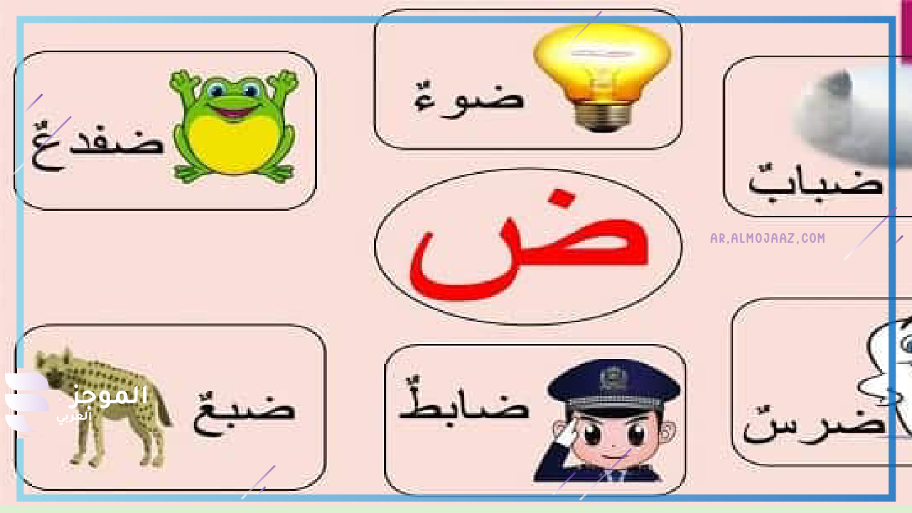 اسماء جماد تبدأ بحرف الضاد من أربعة حروف