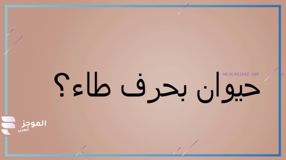 اسم حيوان بحرف الطاء ط، حيوان يبدأ بحرف طاء