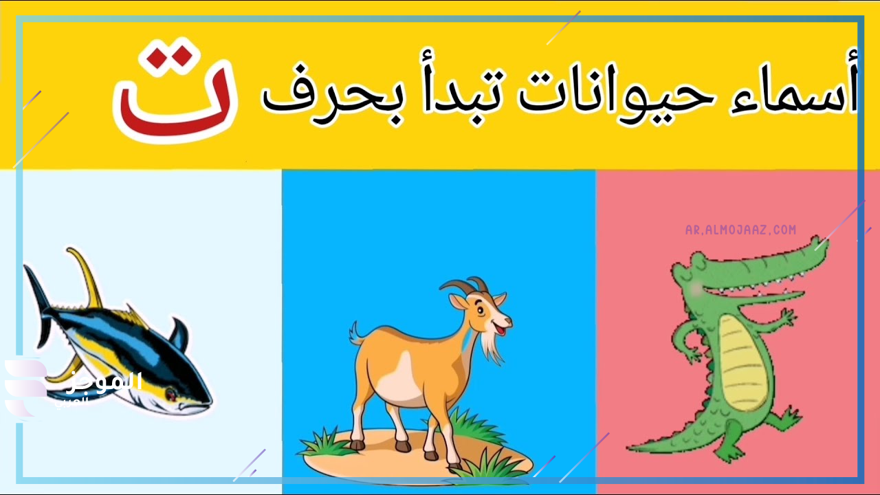 اسماء حيوانات بحرية بحرف ت
