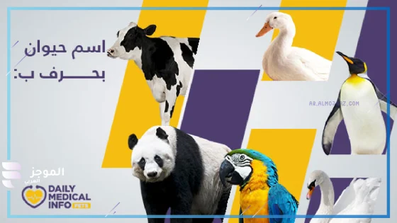حيوان بحرف ب، اسم حيوان يبدأ بحرف ب