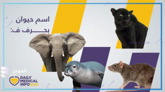 حيوان بحرف ف، اسم حيوان يبدأ بحرف ف 