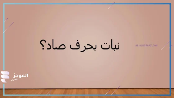اسم نبات بحرف الصاد، نباتات تبدأ بحرف الصاد