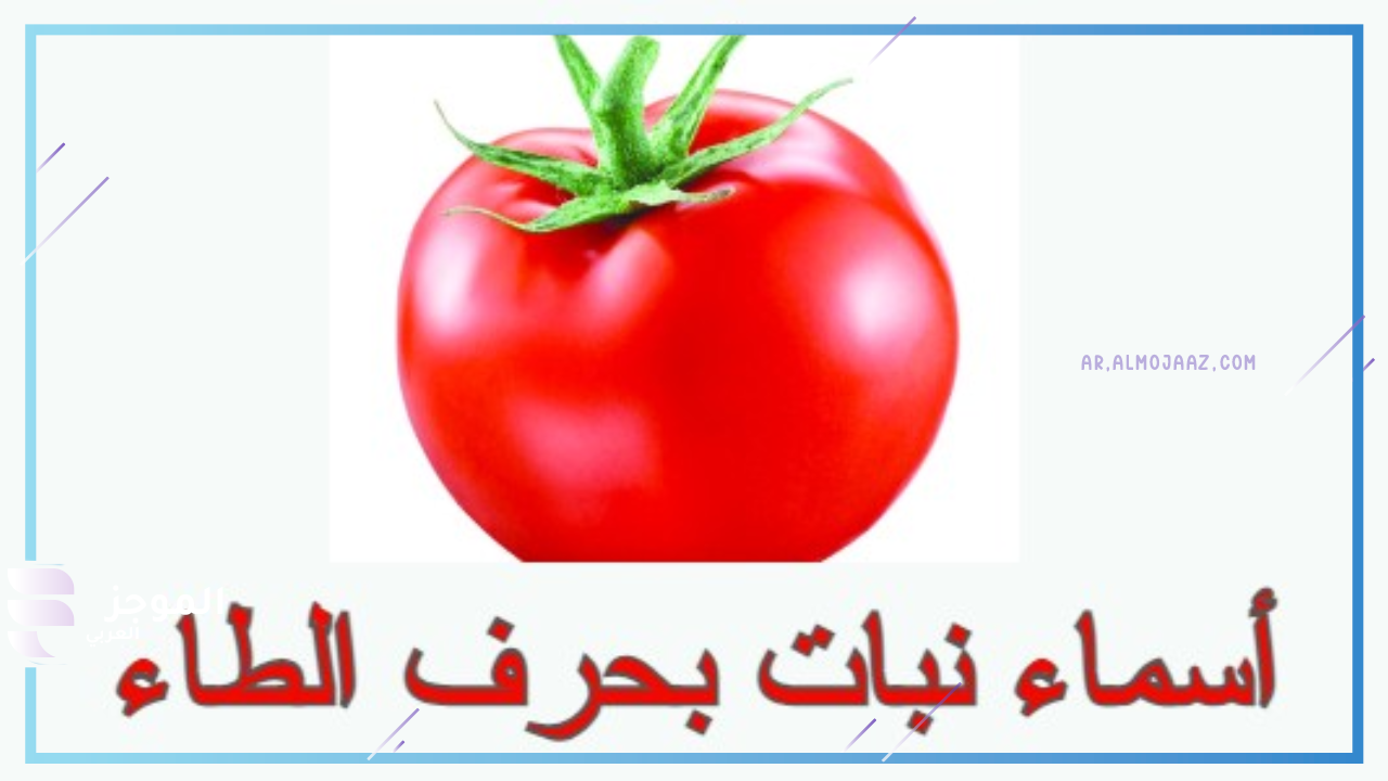 نبات بحرف الطاء من اربعة حروف
