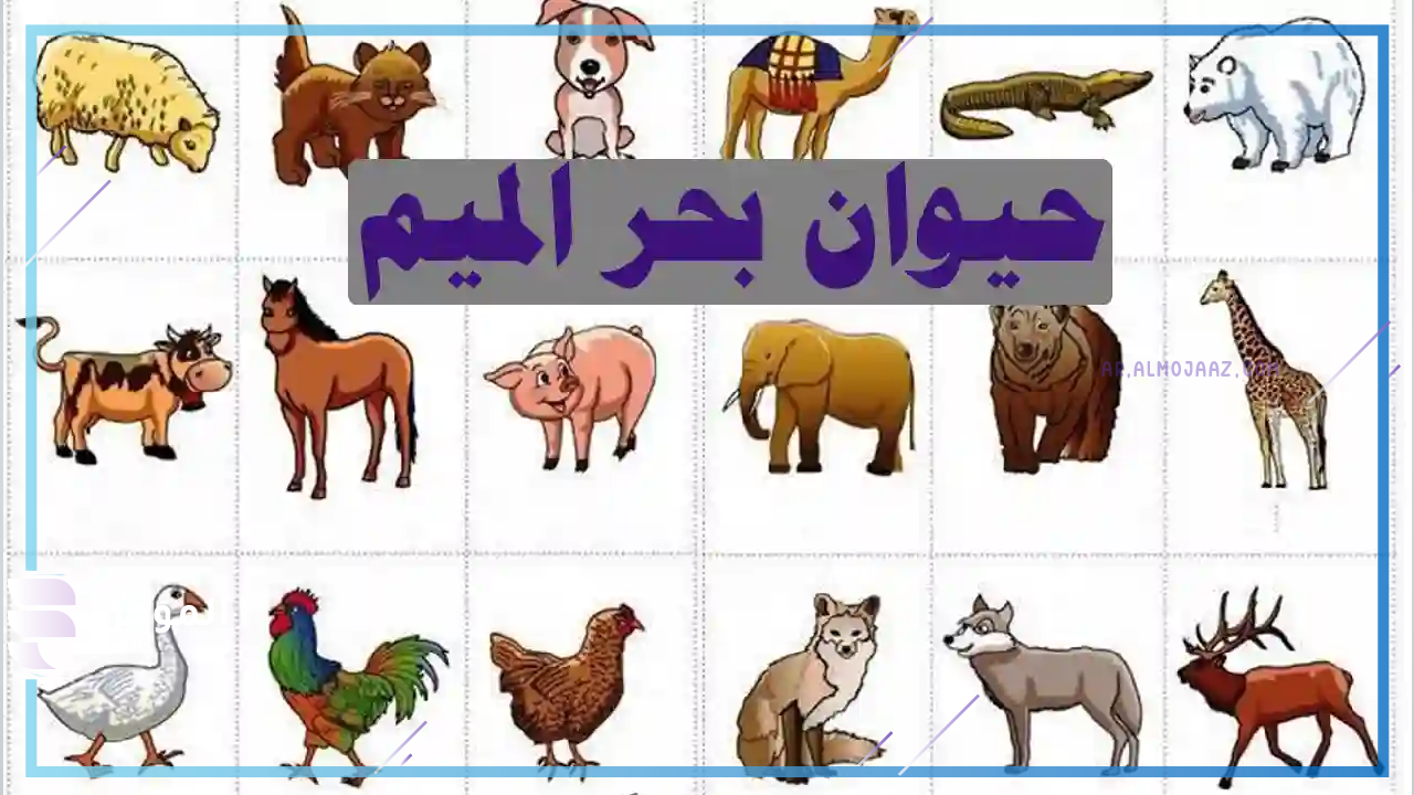 اسماء حيوانات تبدأ بحرف الميم