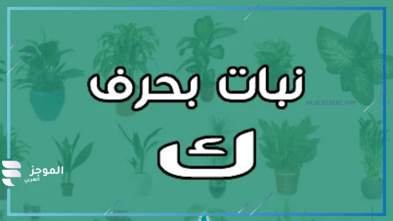 نبات بحرف ك، اسماء نباتات تبدأ بحرف ك