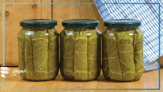 افضل نوع ورق عنب في السوق بالفوائد