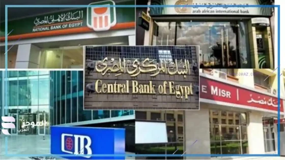 البنوك المصرية