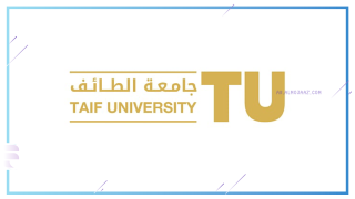 جامعة الطائف