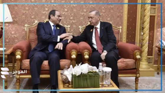الرئيس السيسي ونظيره التركي