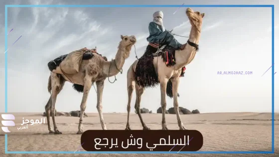 السلمي وش يرجع، أصل عائلة السلمي من وين