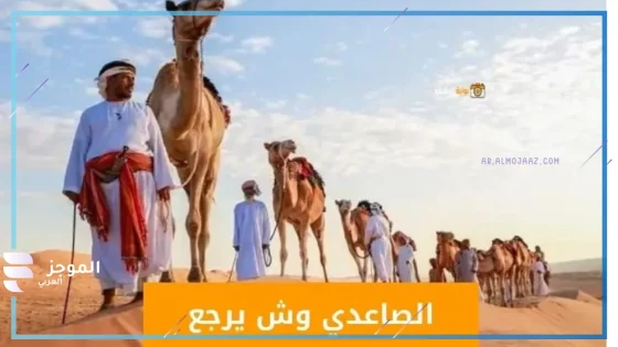 الصاعدي وش يرجع النسب، أصل عائلة الصاعدي من وين