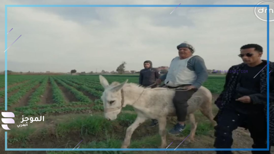رفض استلام الهدية