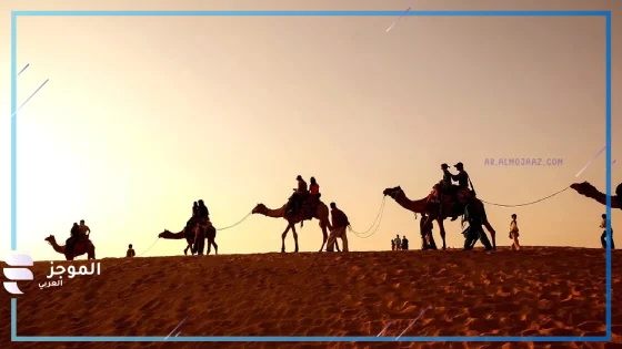 المرواني وش يرجع، أصل عائلة المرواني من وين 