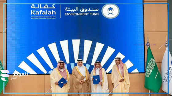 صندوق البيئة
