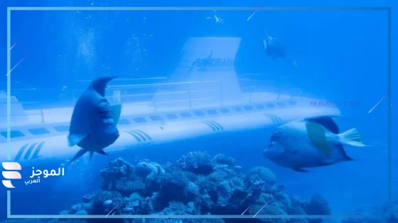 حادث غرق غواصة السندباد بالبحر الأحمر