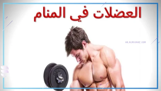 تفسير حلم رؤية العضلات في المنام للمرأة العزباء لابن سيرين