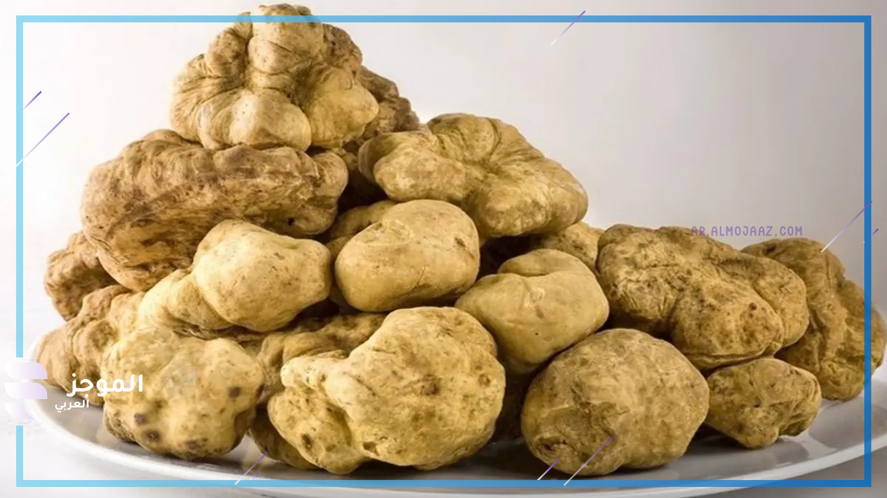 تفسير رؤية الفقع في المنام للعزباء