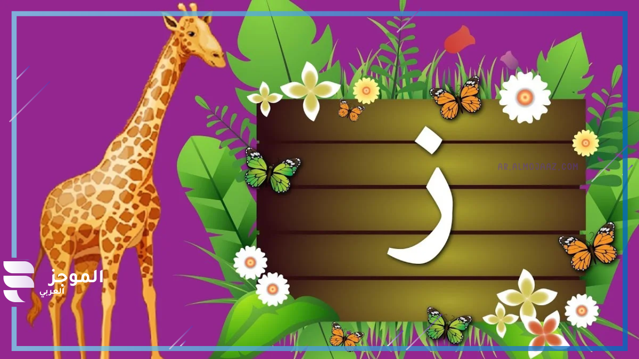 طيور بحرف ز