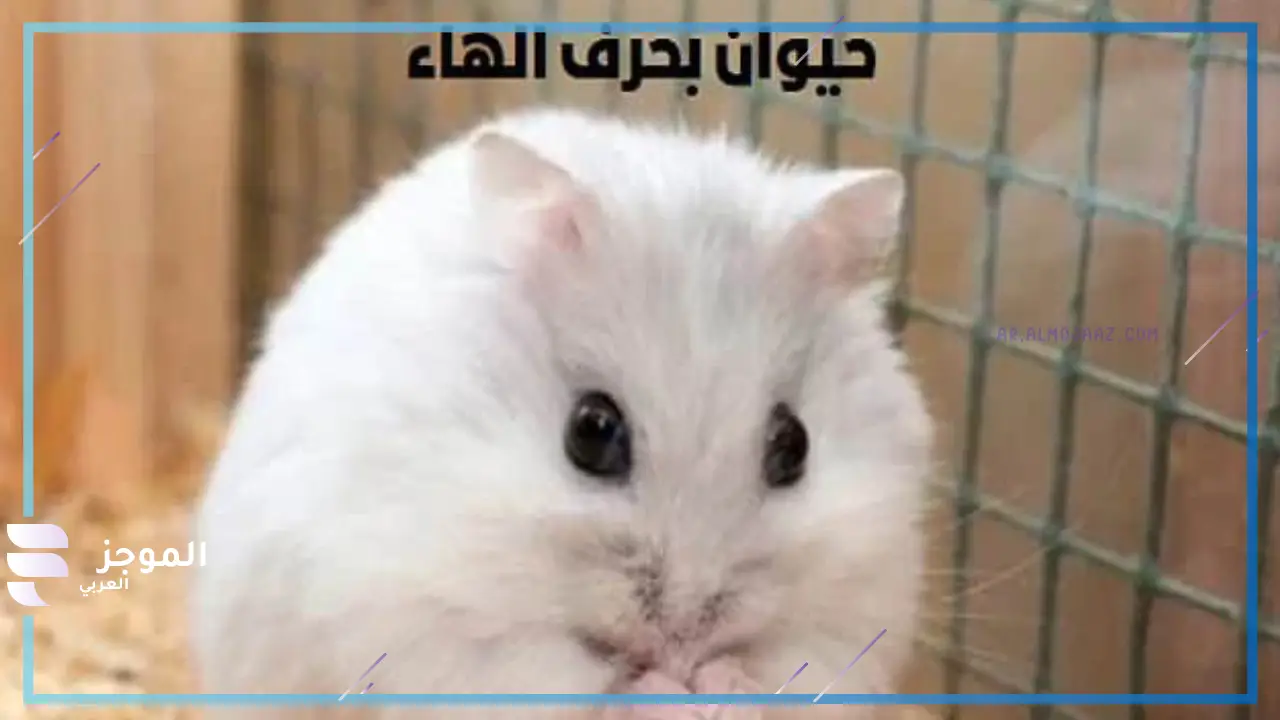 حيوان بحرف الهاء هـ
