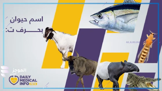 حيوان بحرف ت، اسم حيوان يبدأ بحرف التاء