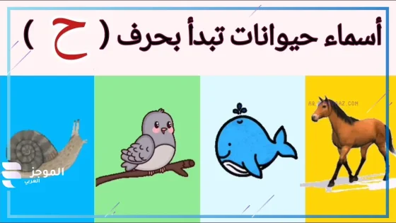حيوان بحرف ح، أسماء حيوانات تبدأ بحرف حاء