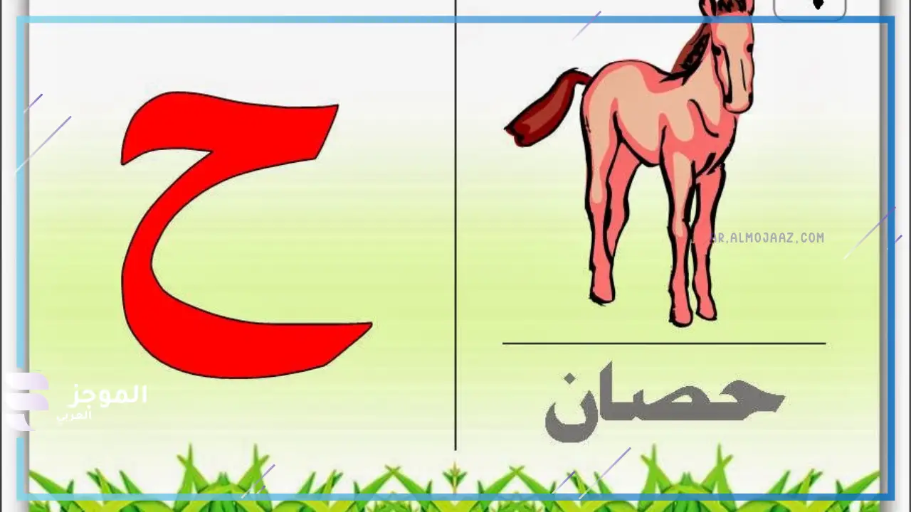 حيوان بحرف ح من أربعة حروف  
