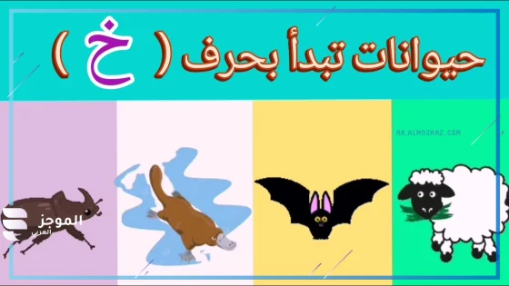 حيوان بحرف خ، اسم حيوان يبدأ بحرف الخاء