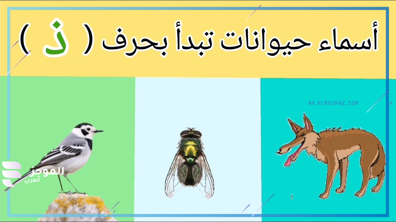 حيوانات برية بحرف الذال 