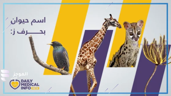 حيوان بحرف ز، اسم حيوان يبدأ بحرف زاي