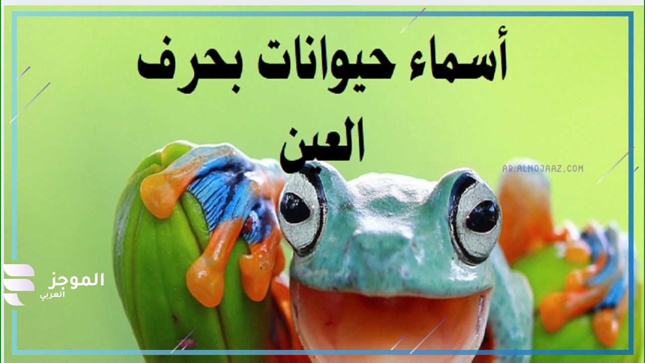 حيوان بحرف ع من أربعة حروف