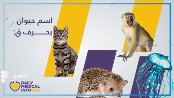 حيوان بحرف ق، اسم حيوان يبدا بحرف ق