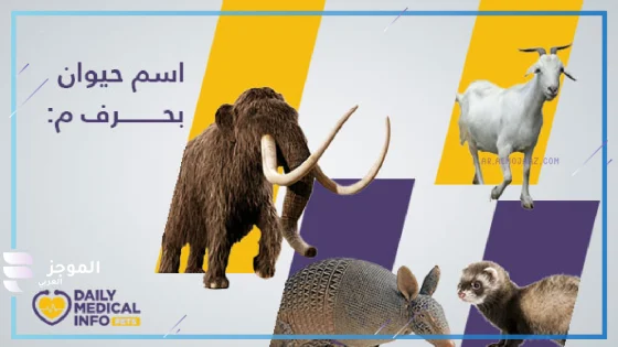 حيوان بحرف م، اسم حيوان يبدأ بحرف م
