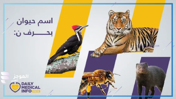 حيوان بحرف ن، اسم حيوان يبدأ بحرف ن