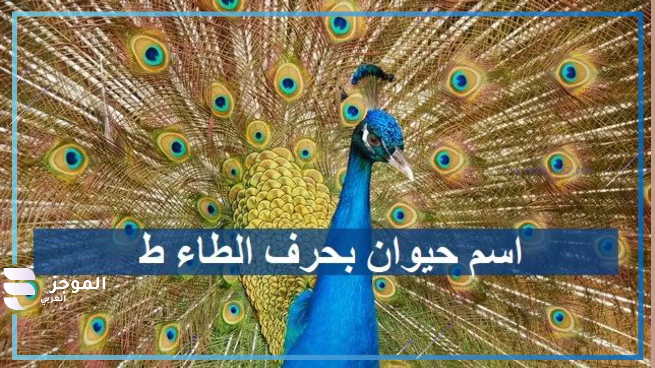 حيوان بحرف الطاء ط