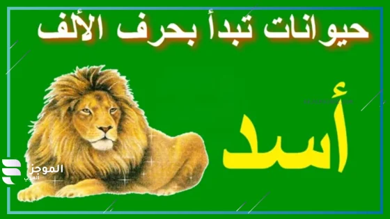 حيوان بحرف أ، اسم حيوان يبدأ بحرف ألف