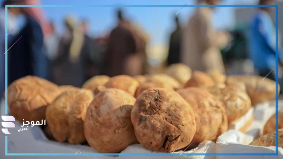 تفسير حلم الفقع للعزباء والمتزوجة في المنام لابن سيرين