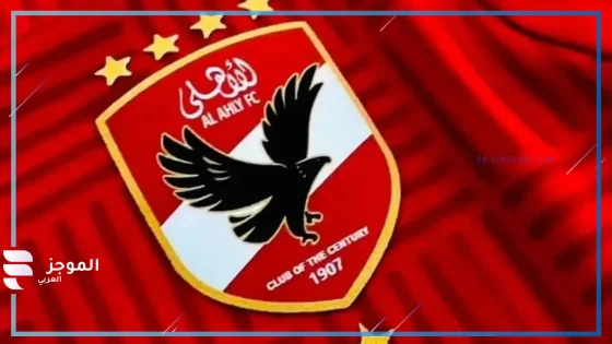شركة الكرة بالنادي الاهلي