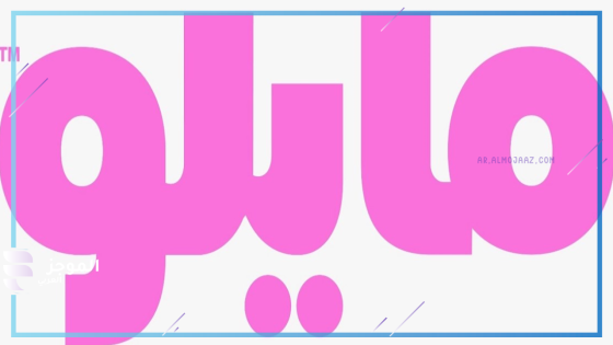 الرقابة المالية