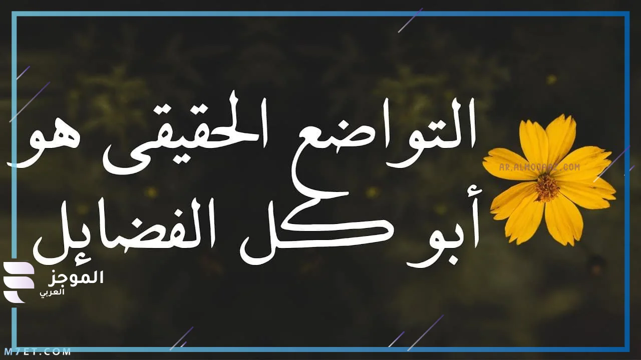 عبارات جميلة ومعبرة تويتر