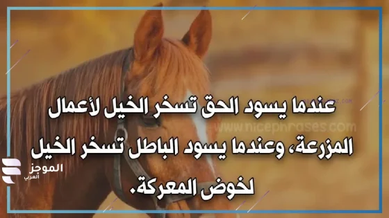 عبارات عن الخيل العربي الأصيل تويتر قصيرة