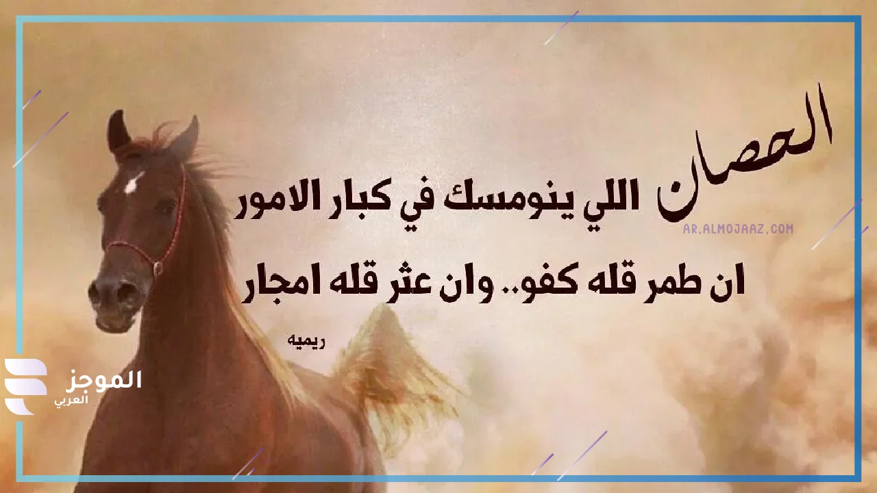 عبارات عن حب الخيل تويتر 