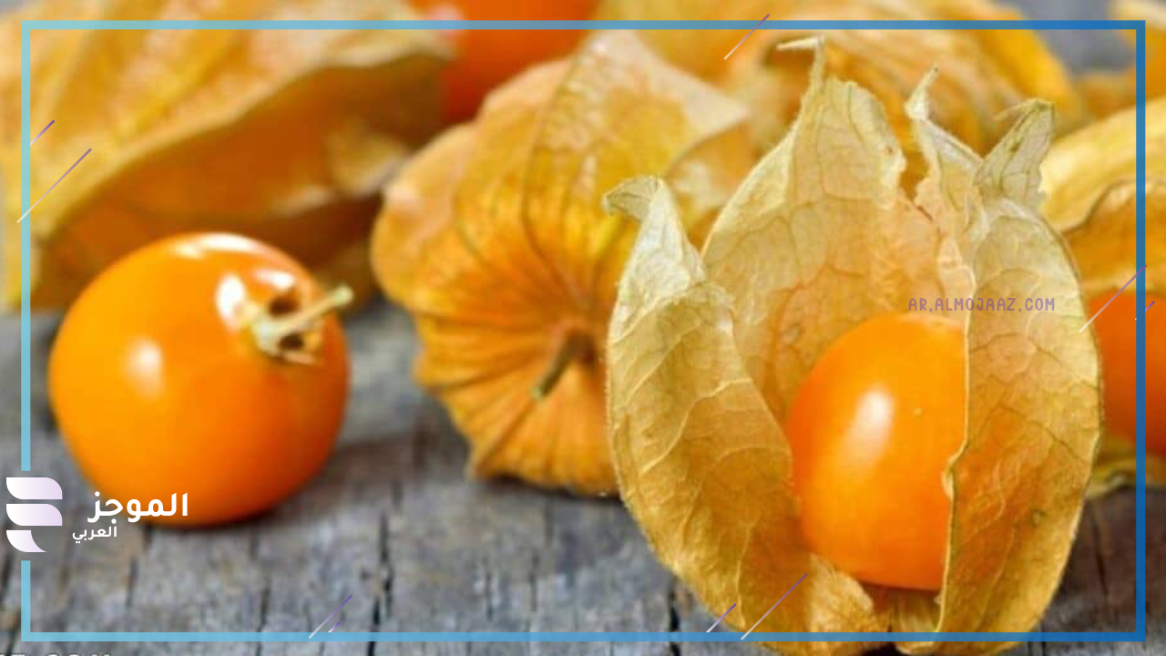 فاكهة من أربعة حروف يبدأ بحرف الحاء